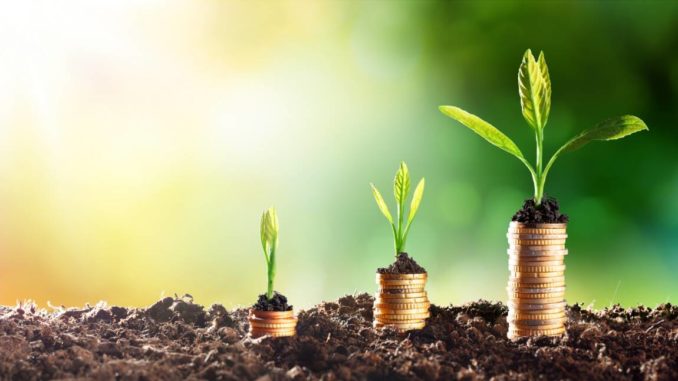 croissance-verte-la-philosophie-du-developpement-durable-transposee-a-l-economie